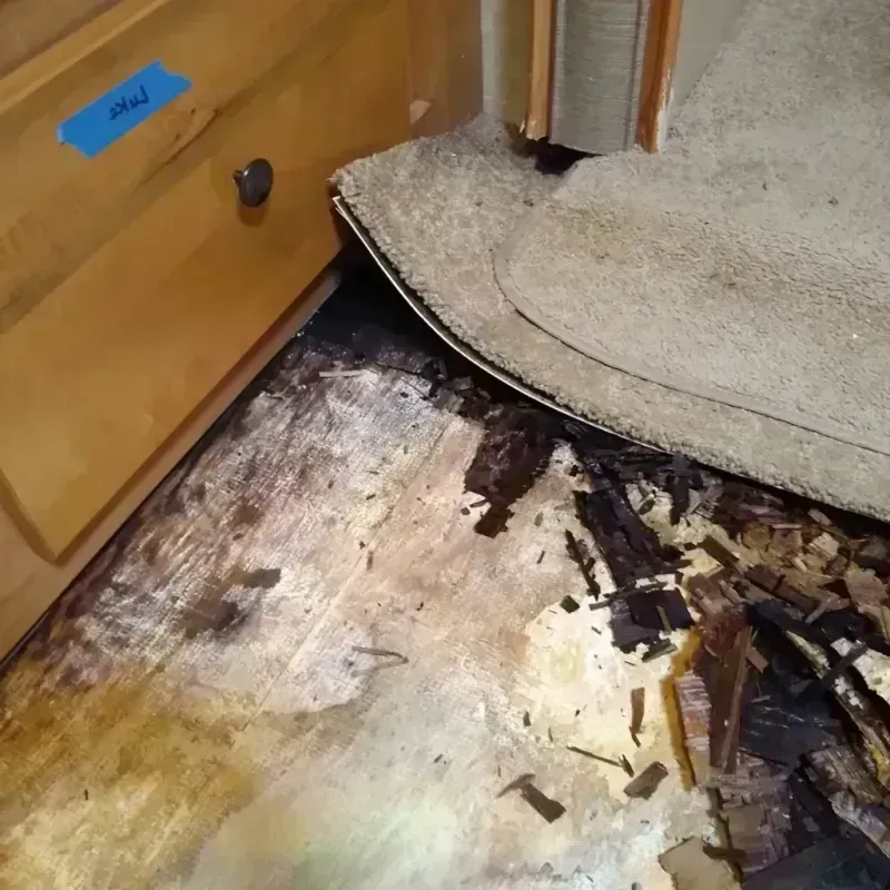 Wood Floor Water Damage in Bladensburg, MD